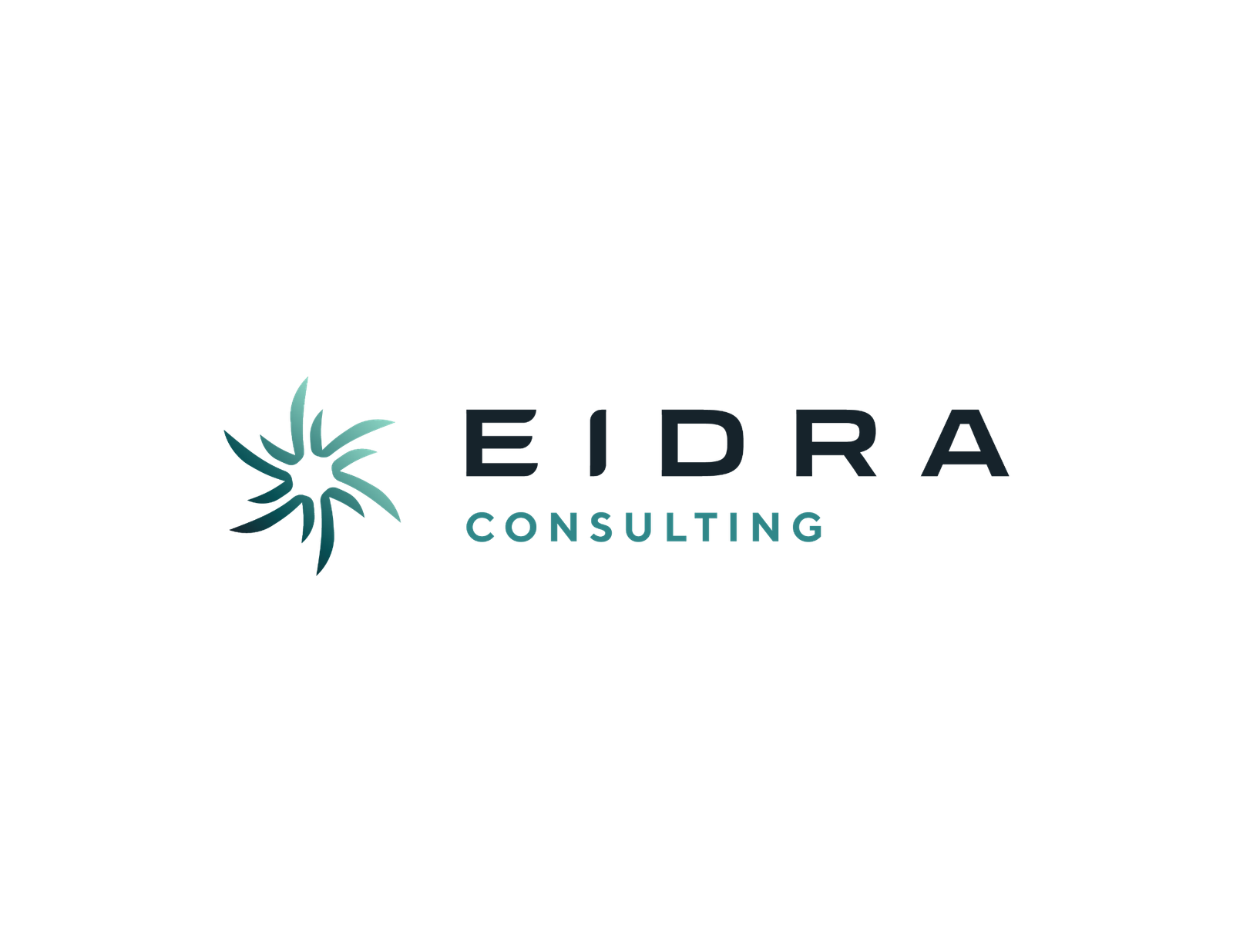 EIDRA Consulting